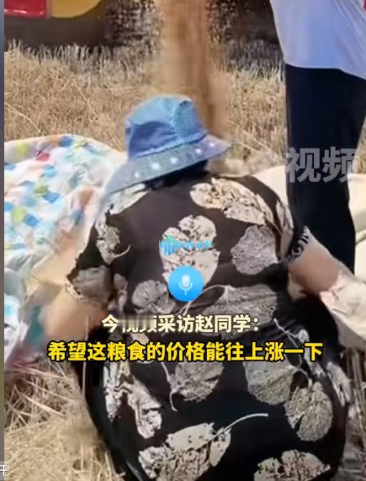 安徽阜阳，女大学生帮奶奶割麦子，干着干着却哭了！奶奶以为她累了，连忙喊她别干了！