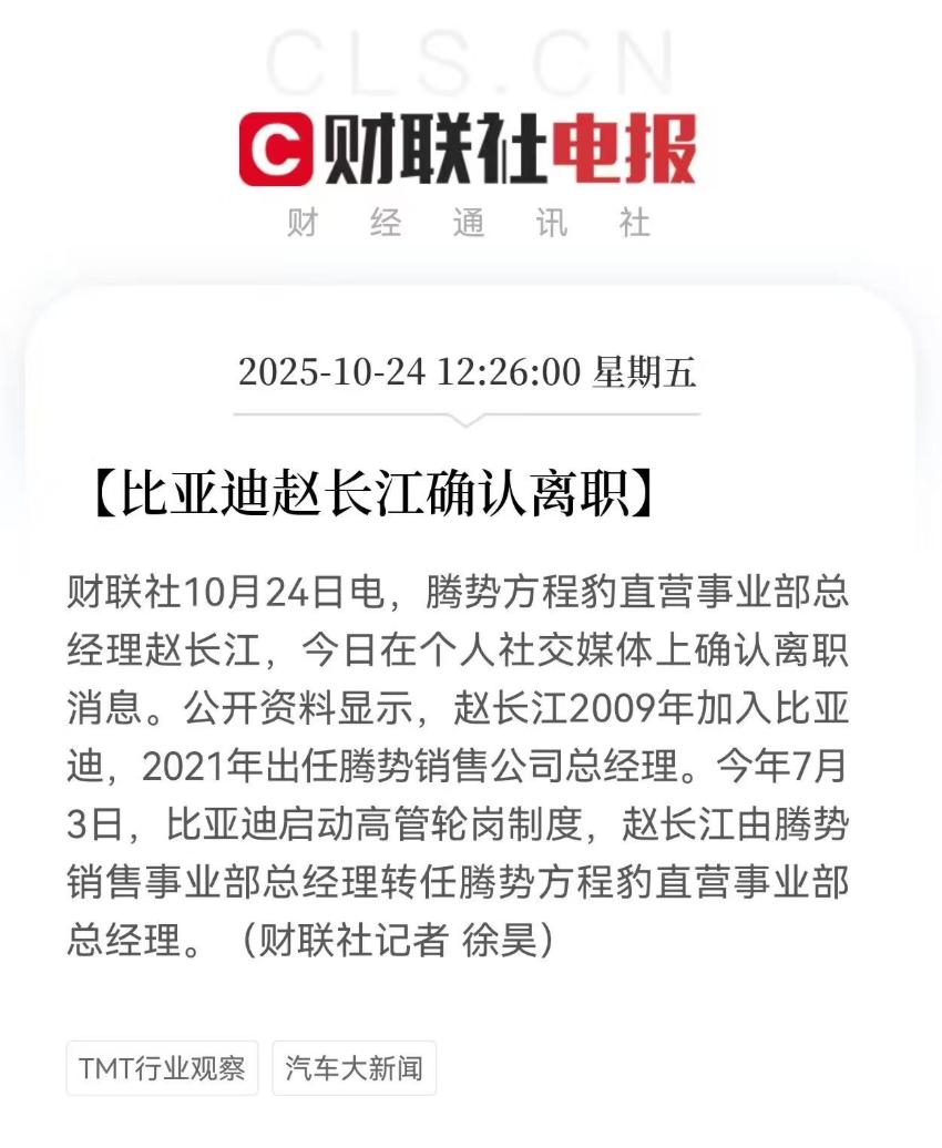 腾势，长江“传”
- 赵长江，1986年生，湖南浏阳人，与比亚迪董事长王传福，同