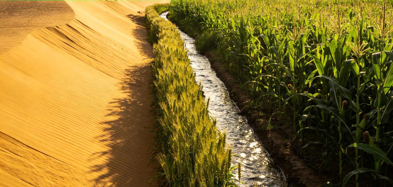 新疆：沙漠变良田的奇迹之旅


        你是否刷到过新疆沙漠种粮的神奇景