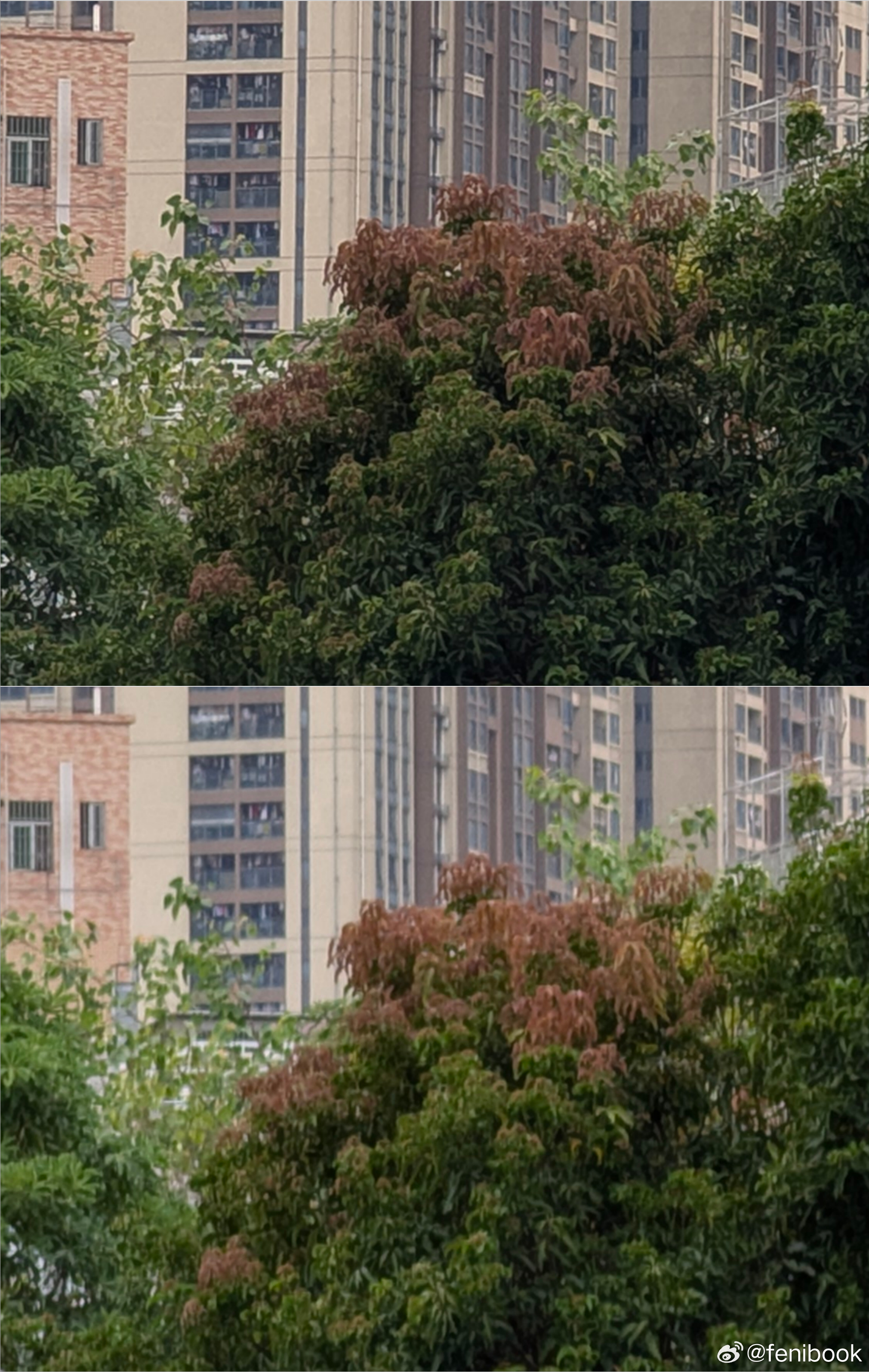 在拍摄了大量样张之后，我可以得出结论：谷歌Pixel 10 Pro 的长焦并没有