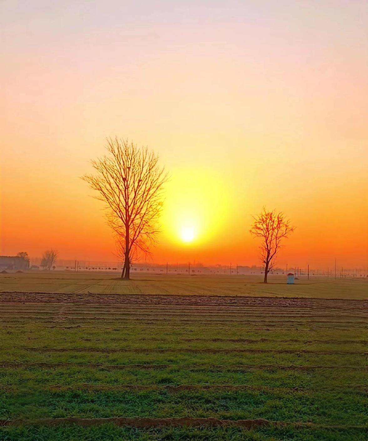 离春节还有两周，我被通知裁员了，人到中年，基本已经找不到相对体面的工作了。
什么