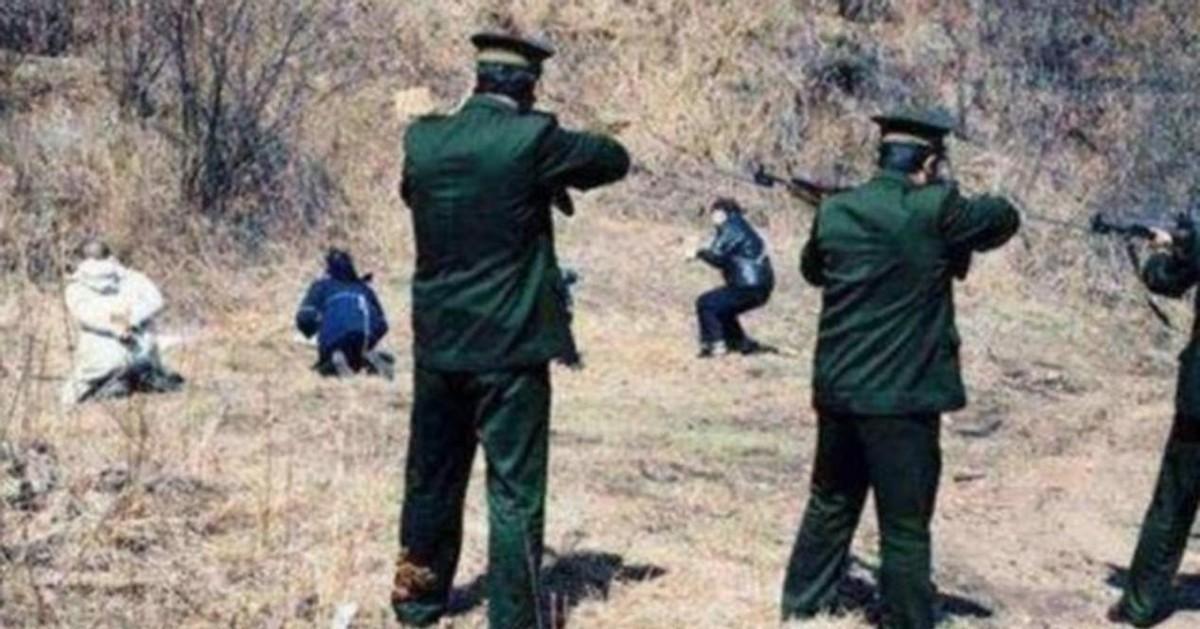 52年，国军少将被判死刑，省主席女儿勇闯刑场阻止执行，要求必须请示周总理！
19