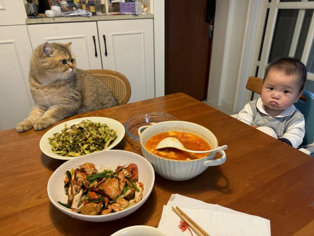 请给这一幕配文