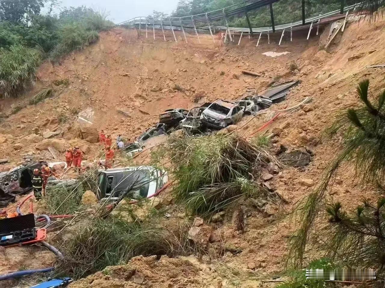这个五一夜里，在梅大高速路上奔走相告的大叔，可以评为2024年度感动中国人物，在