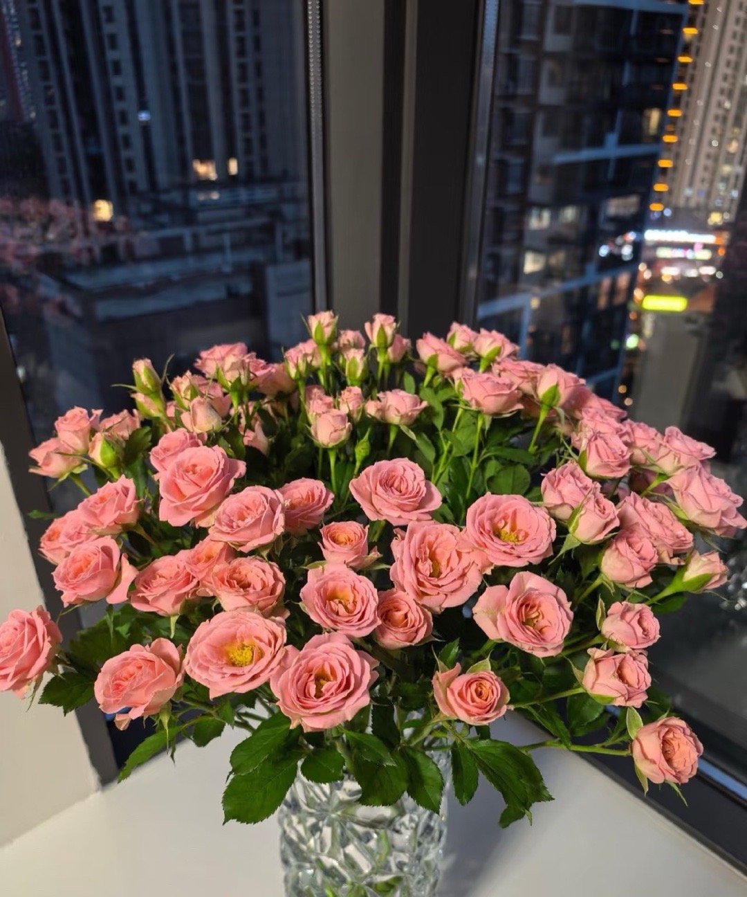 奋力生活的人自带光芒我在余晖中漫步于暮夏 ​​​