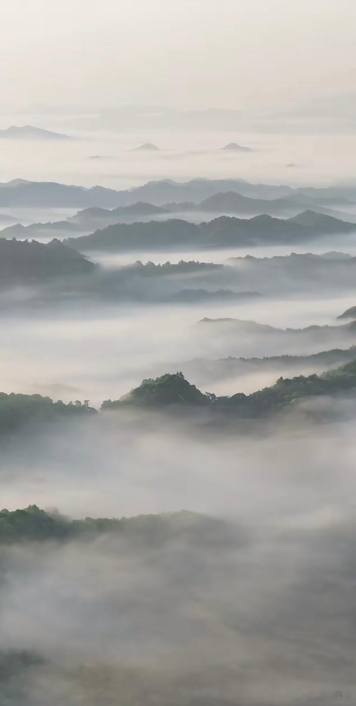 别人视频里的田园 