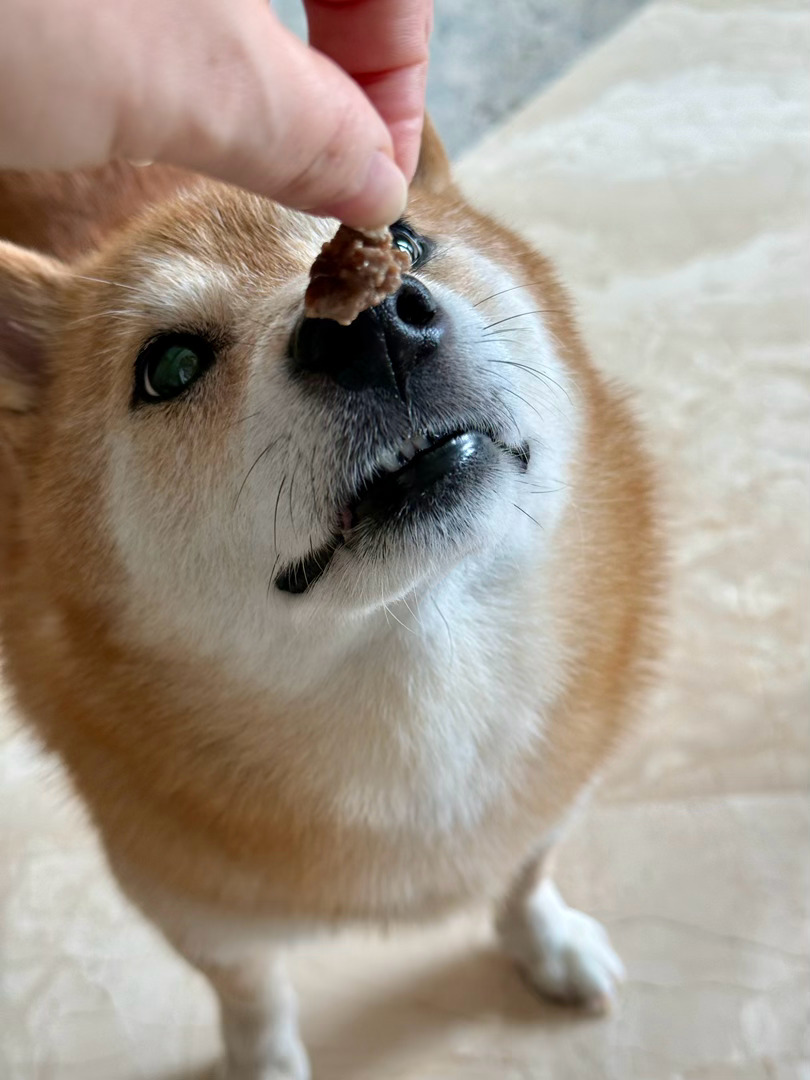 回来就要做饭啦随手拍