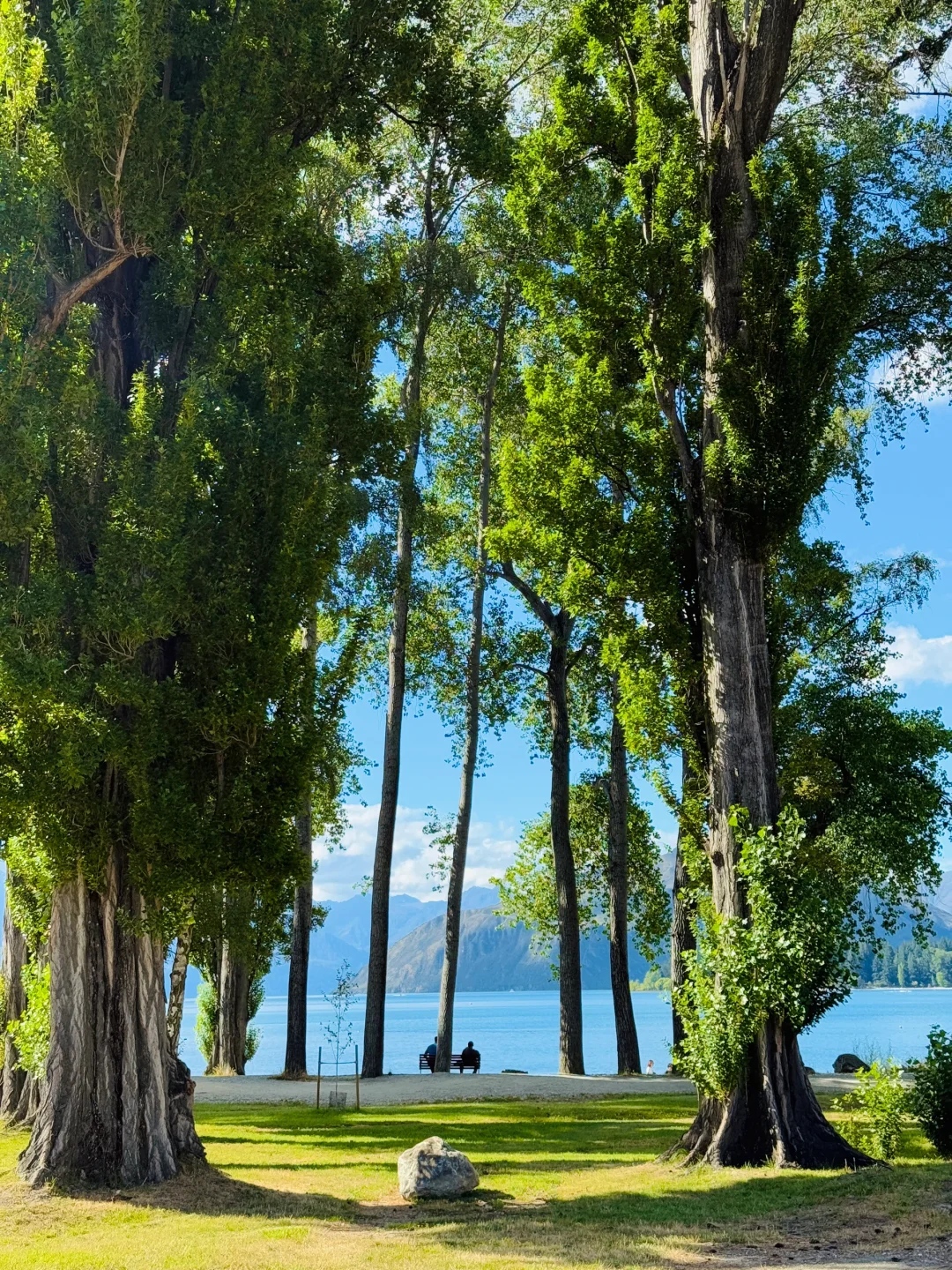 怎么会有这么美的地方！Wanaka 🌿