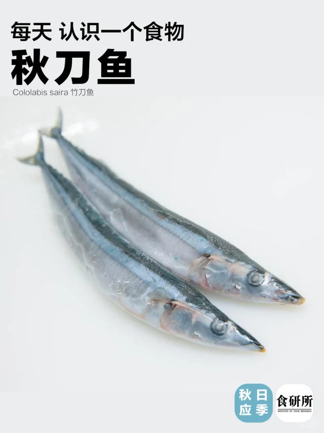 秋の味觉 猫和你都想了解的秋刀鱼