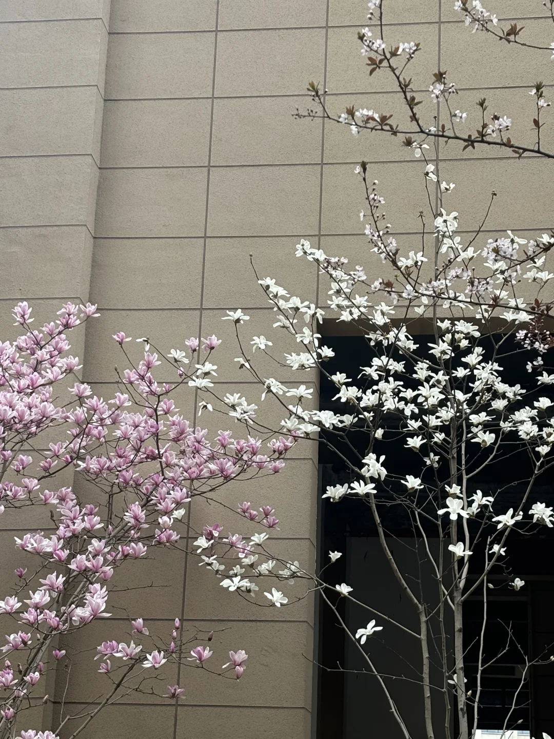 已经感受到一些春的气息