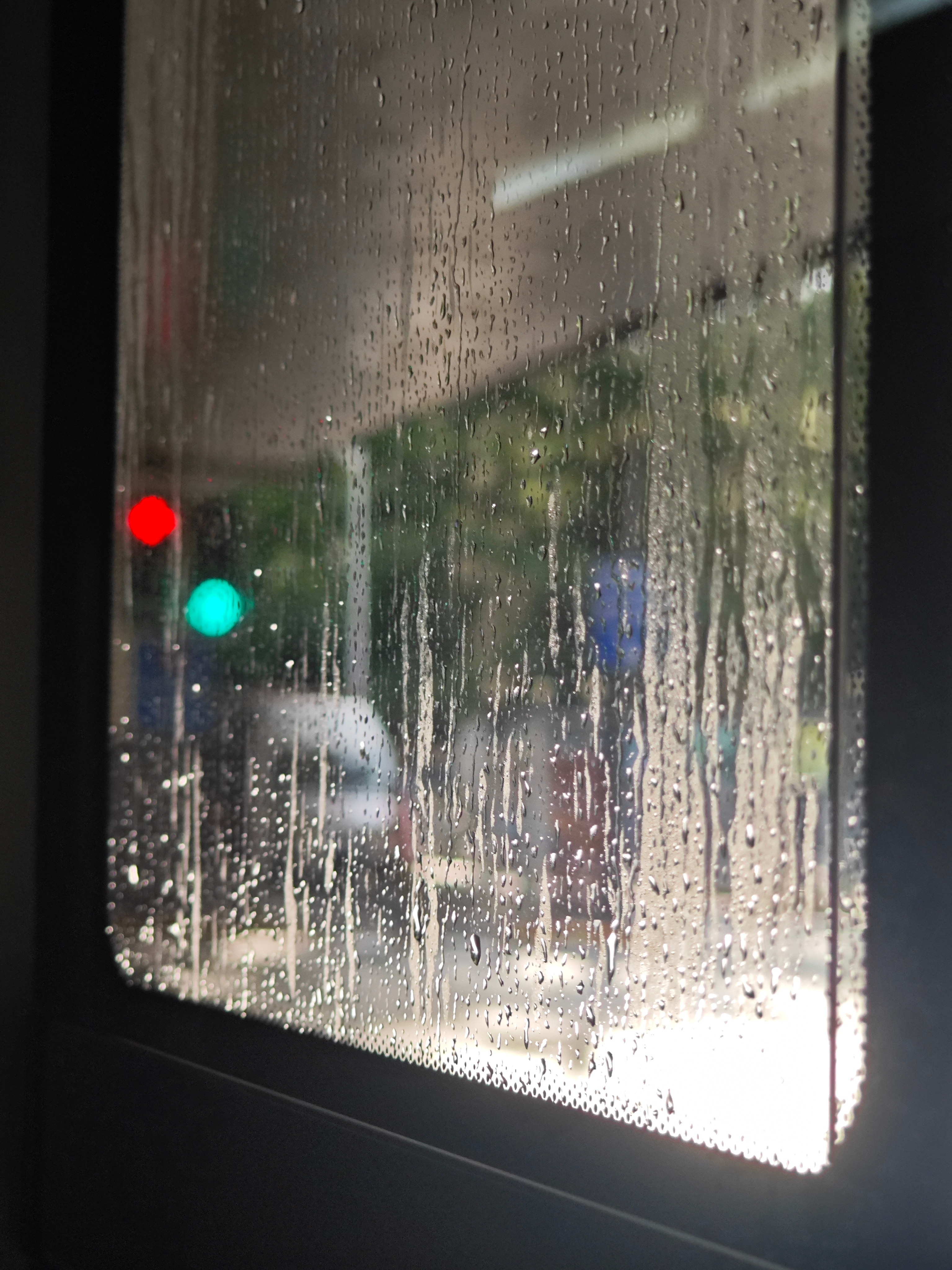 那样大的暴雨怎么好像只是为了反射夕阳的金光 