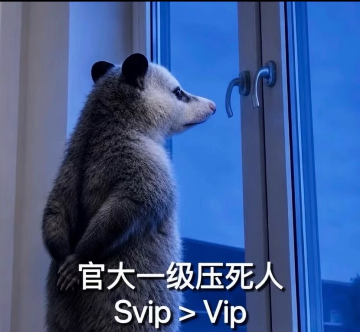 感觉今天会很热提前讲些冷笑话给大家降降温有点东西