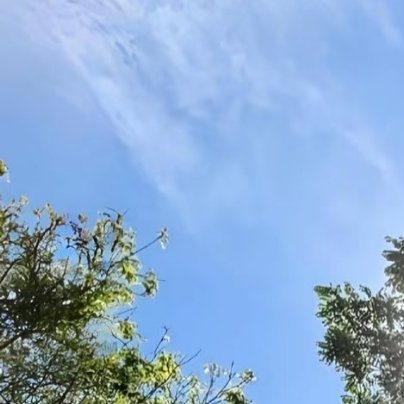 0000树木成长要经历漫长的时间，人的成长也要经历种种磨难。伟大的成就，只有在一