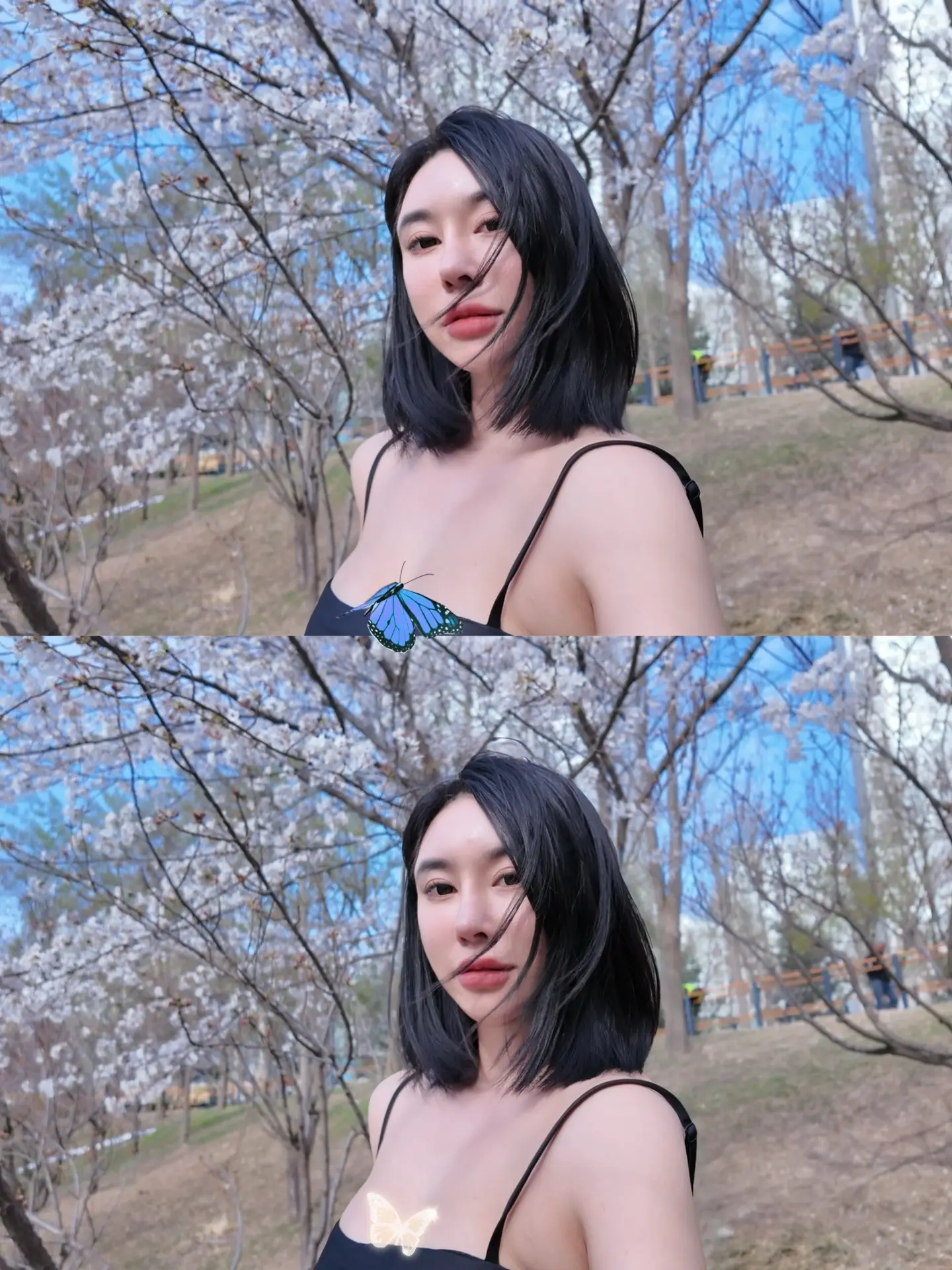 樱花🌸