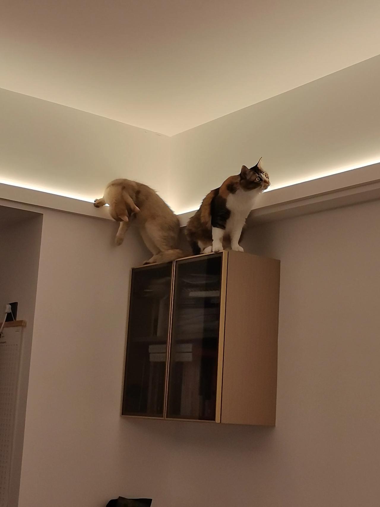 实名控告能解决自己实际的问题吗不一定吧，还得看办理单位到底是不是尽责，