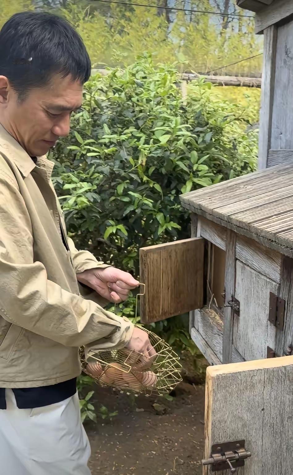 这个发生在梁朝伟身上，一点也不违和呀。

毕竟，当初他仅仅是心血来潮想要喂下鸽子