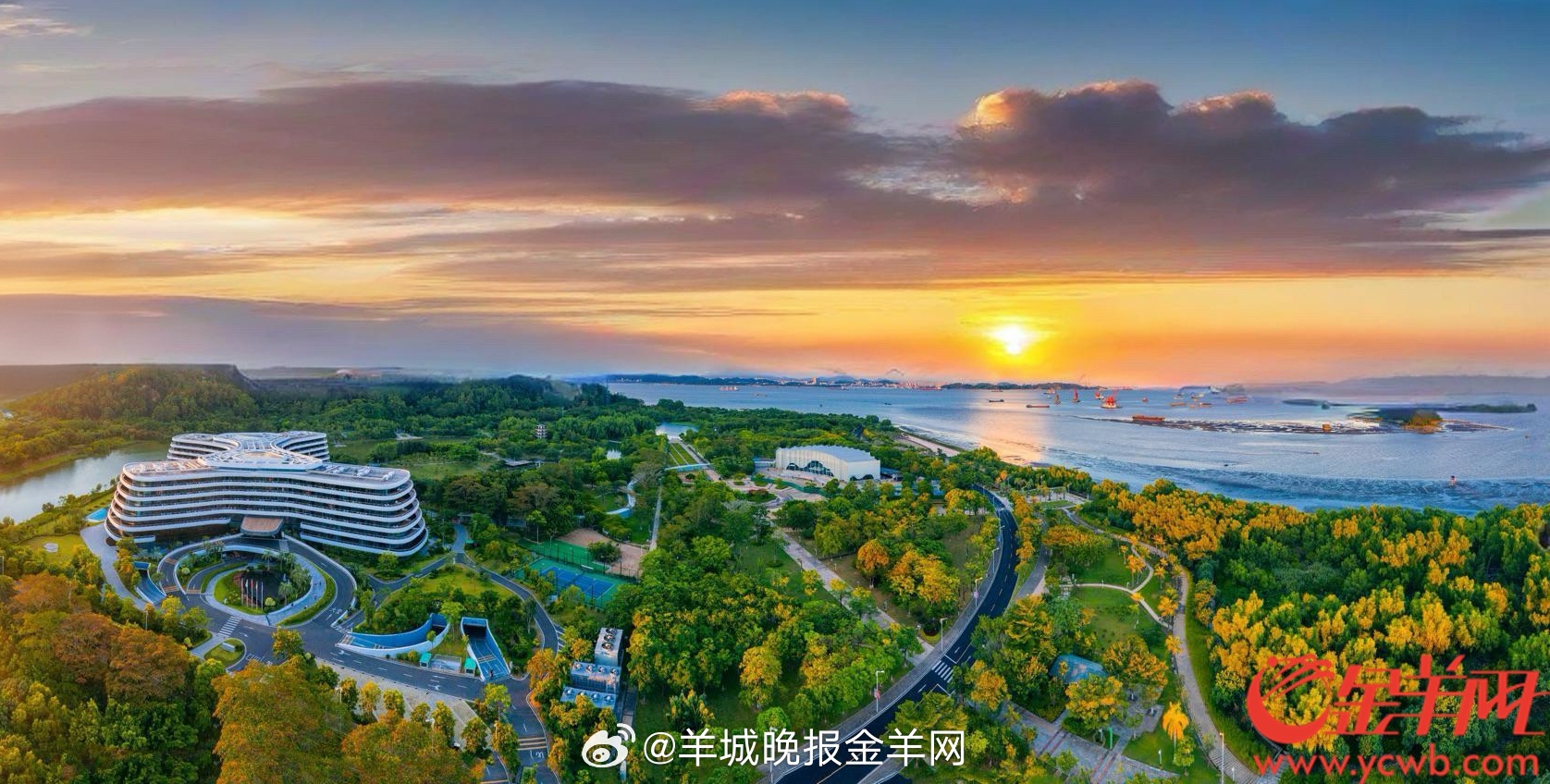 #晚安# 夜是温柔的充电站。今日的汗水与笑容，时间都已默默签收。别急，所有付出都