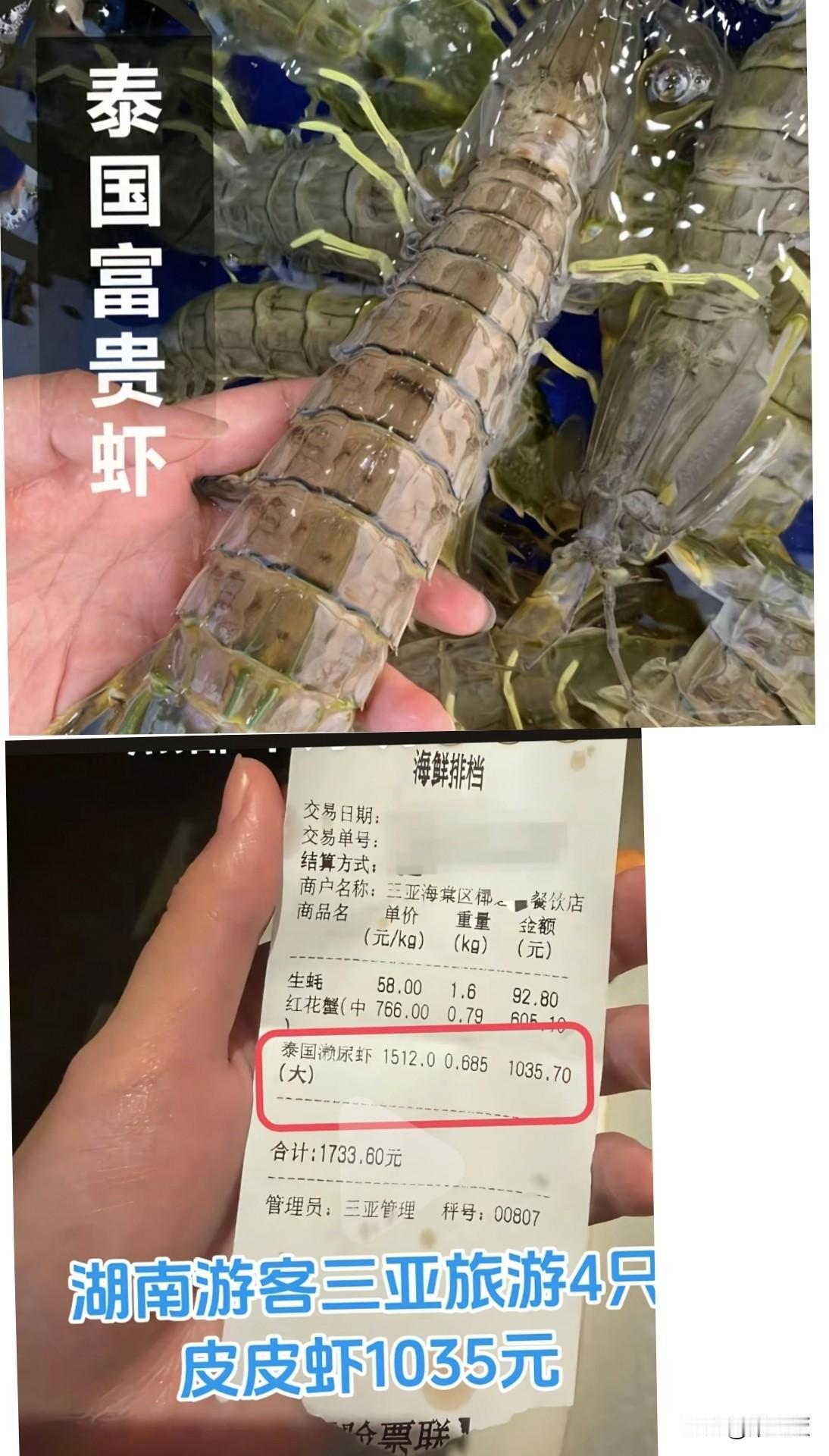 良心过得去吗？

想问问那位吃了泰国皮皮虾，投诉三亚海鲜店的游客你有愧疚之心？