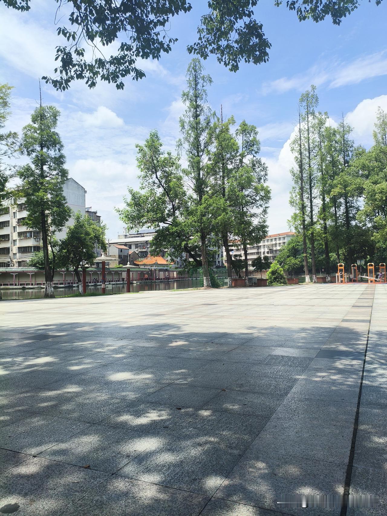 湖北应城，给大家说一下今天下午在应城人民公园发生的惊魂一幕吧，特别提醒带小孩的家
