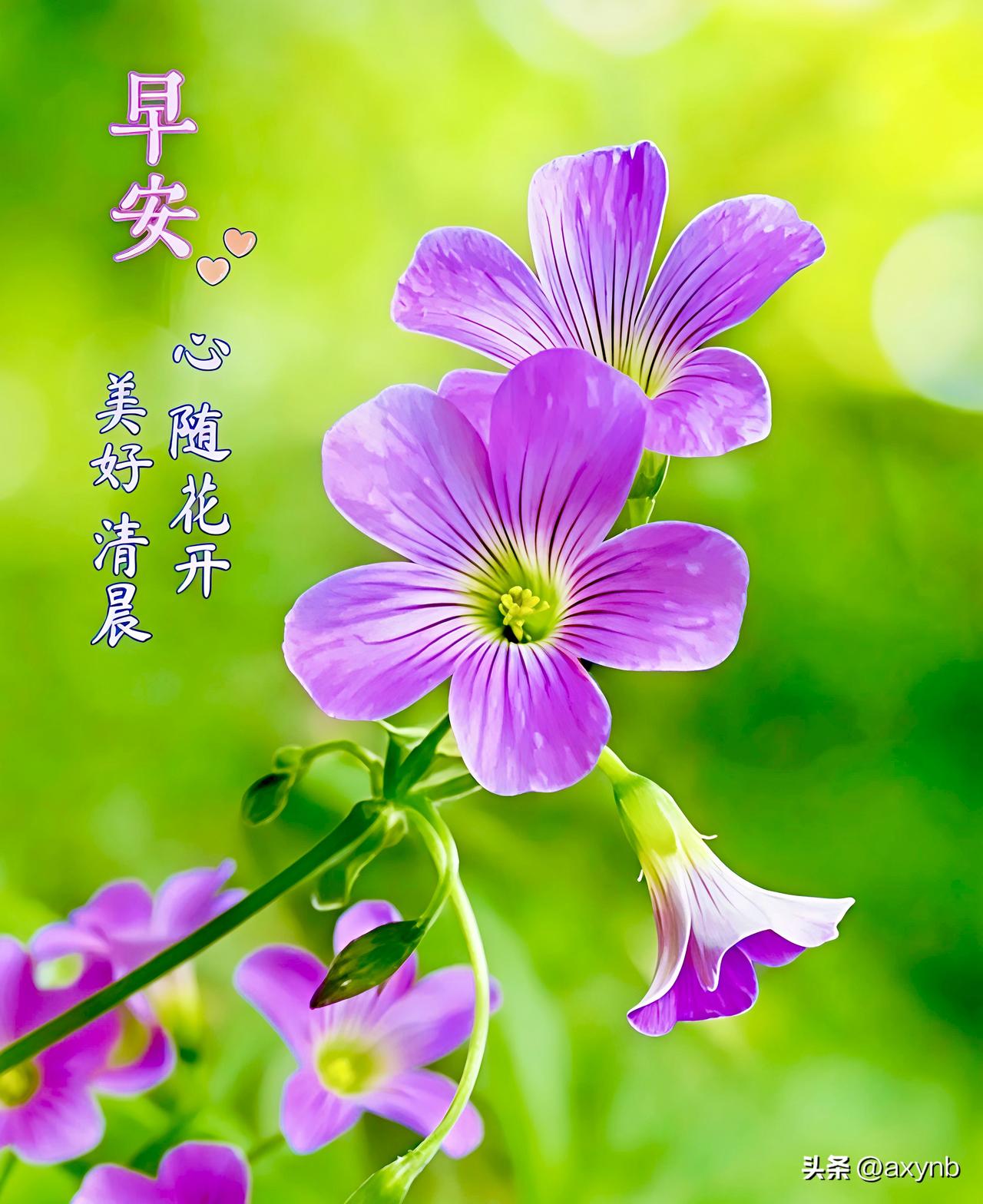 一句暖心问候，满载真挚祝愿。
事事顺遂无忧，日日喜乐安然。
美好如期而至，所想皆