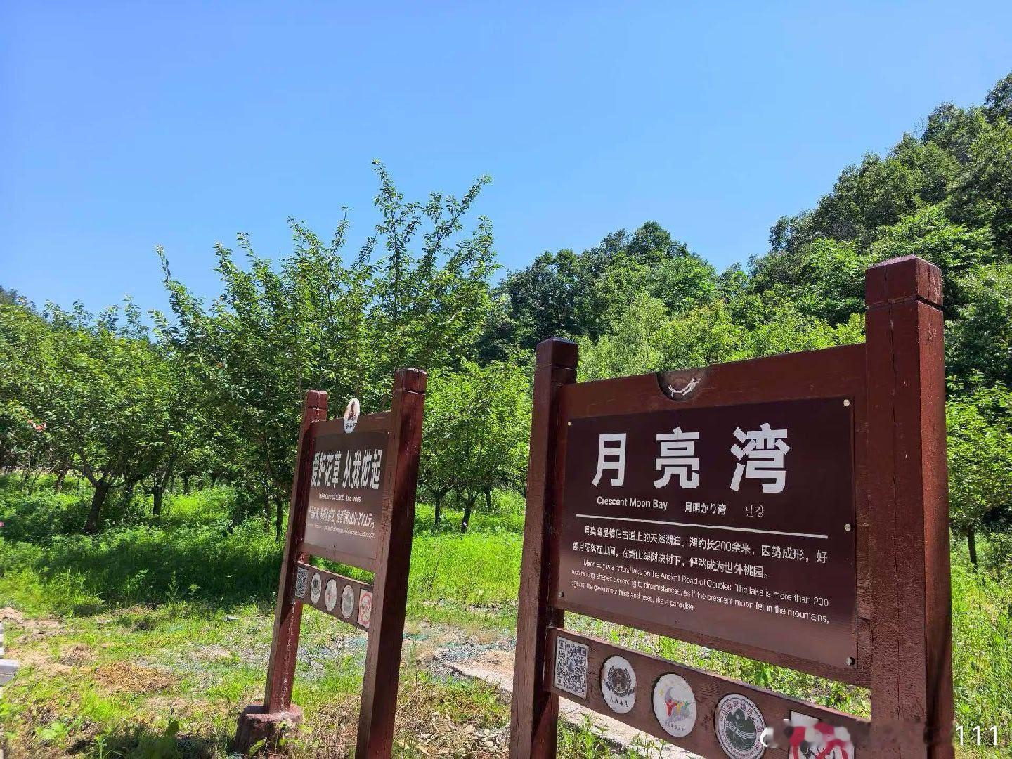 原创诗词 洛阳西泰山抒怀幽涧藏龙飞白练，茂林环拥月亮湾。炎黄仙踪犹可寻，东岳遥应