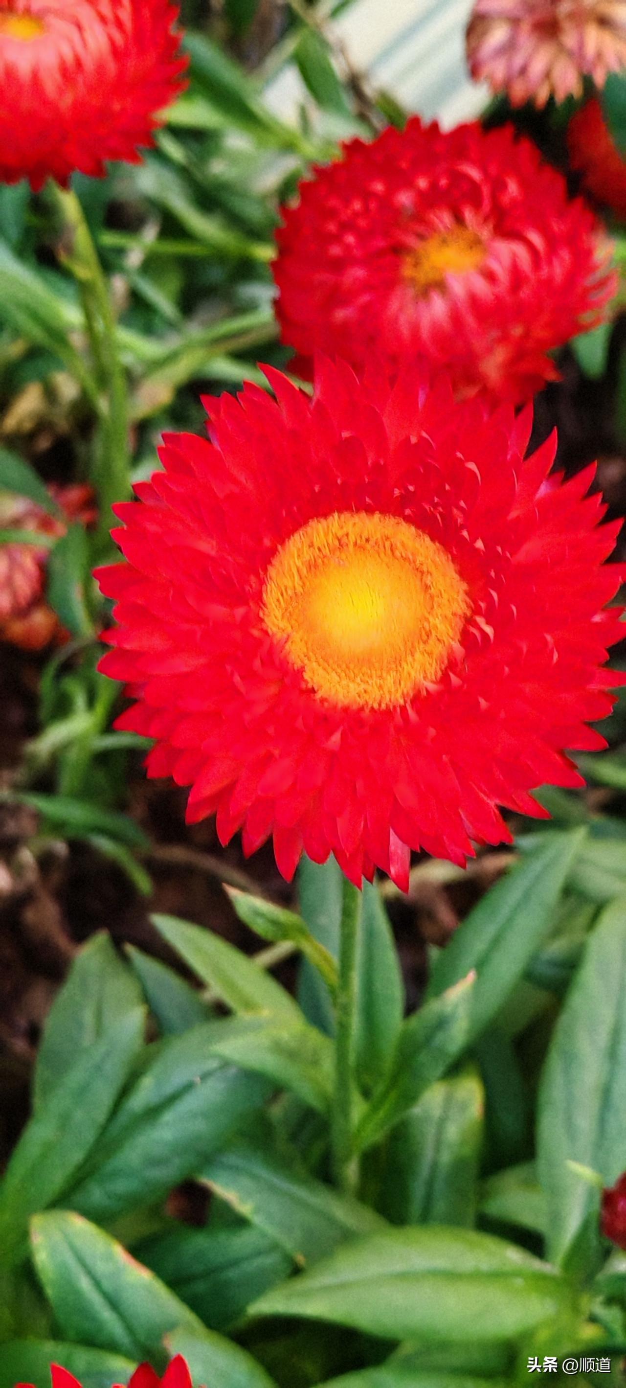 再婚的女人，别以为男人一句工资卡上交，你以为你就找对人了。
你知道工资卡上交意味