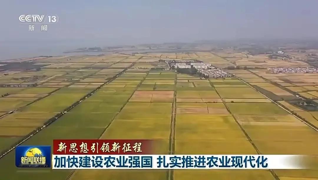 建设种业强国，必须深化种业科技体制改革，建立以企业为主体的商业化育种创新体系。要