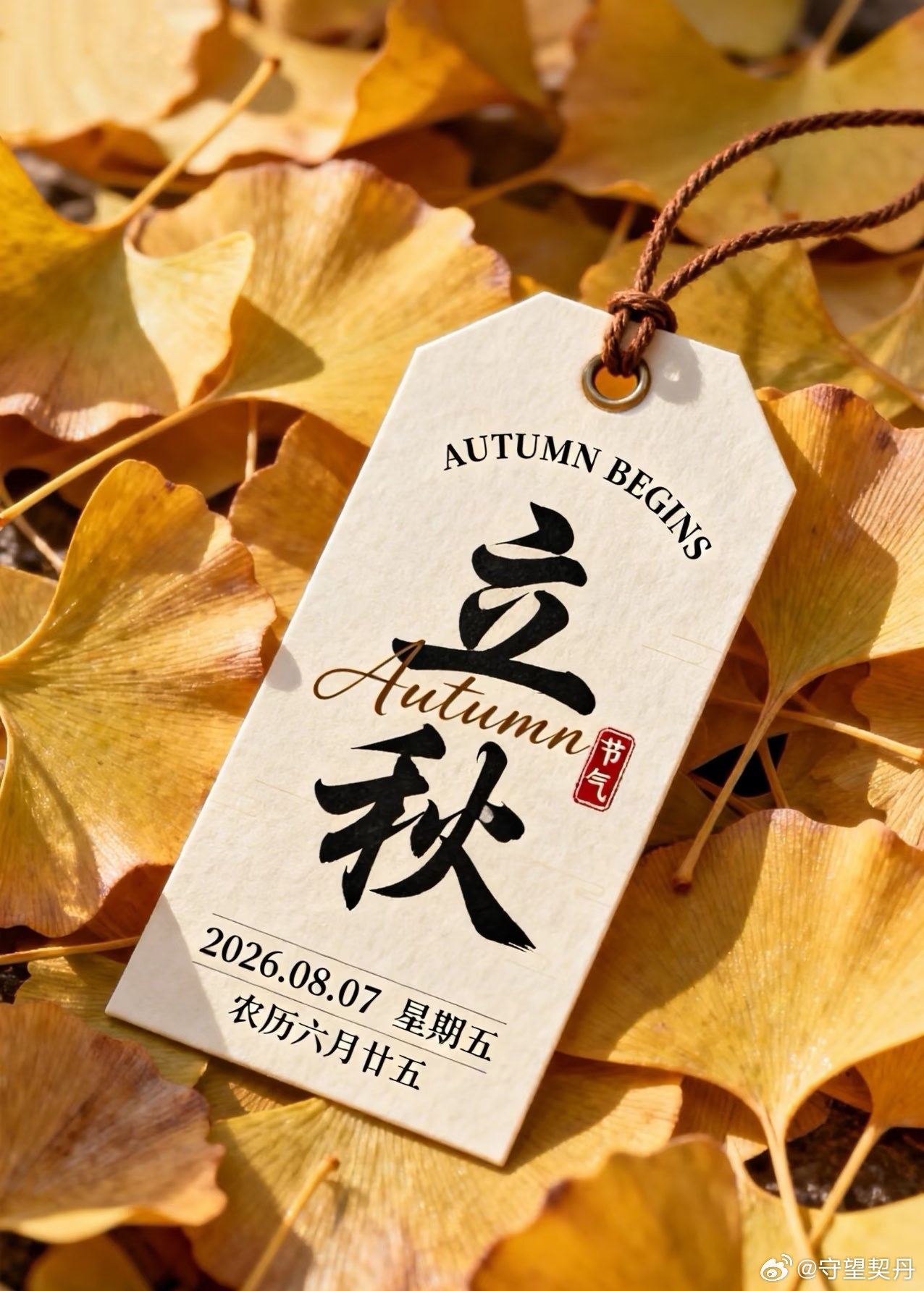 今日立秋 ，暑气还未散尽，风里已经悄悄藏了一丝凉意。夏天的事，就让它留在夏天吧。
