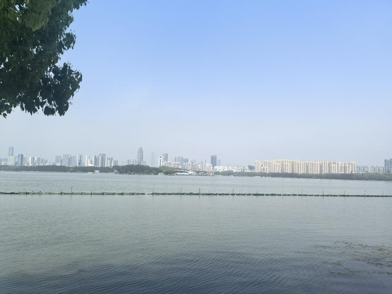 去年10月中下旬我去了杭州西湖，在湖边住了半个月。那时候西湖秋意正浓，湖边的树木