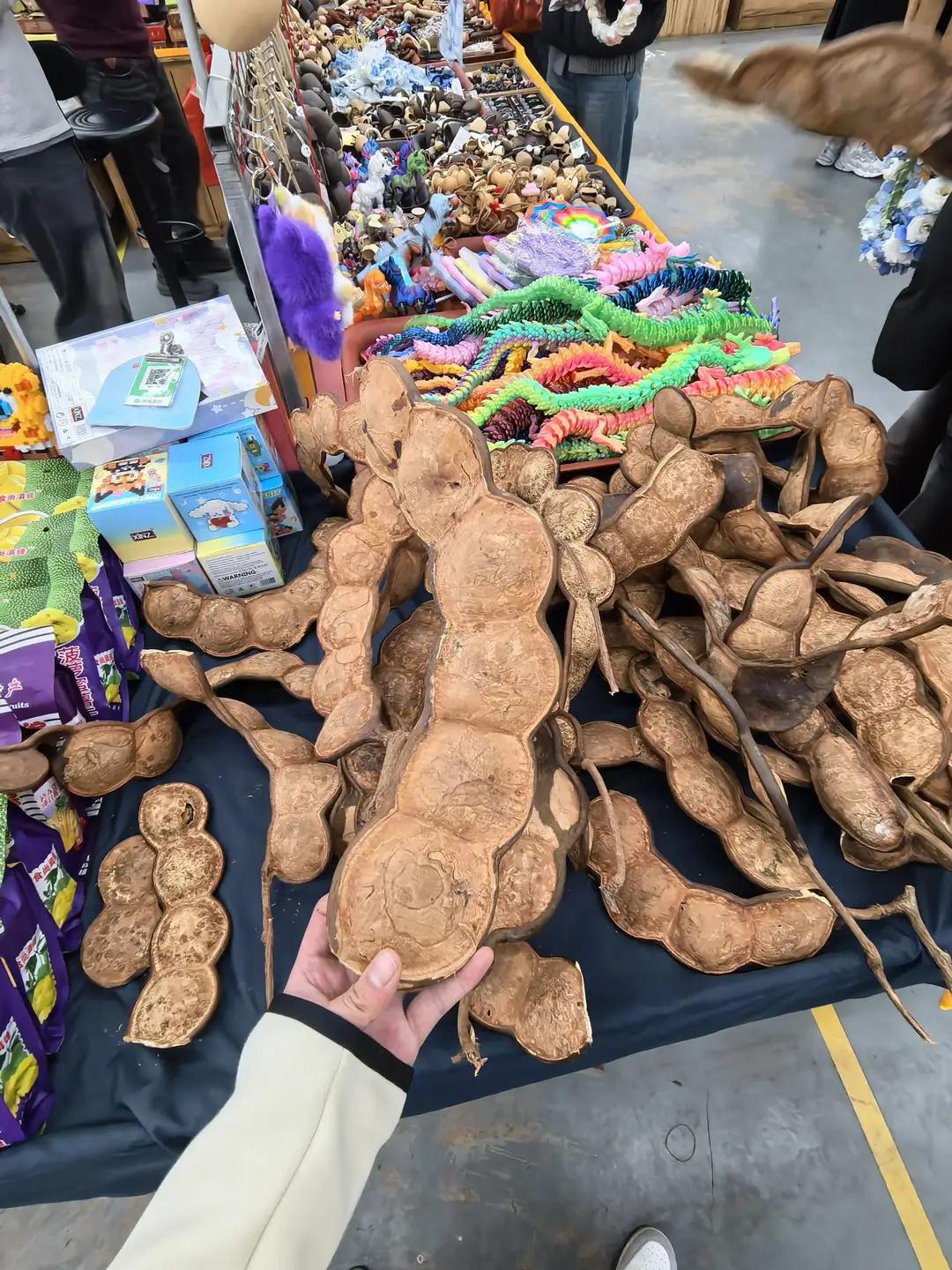 这个是世界上豆荚类最大的了吧！其植物的藤可以长到五十米甚至更长，长在热带气候的大