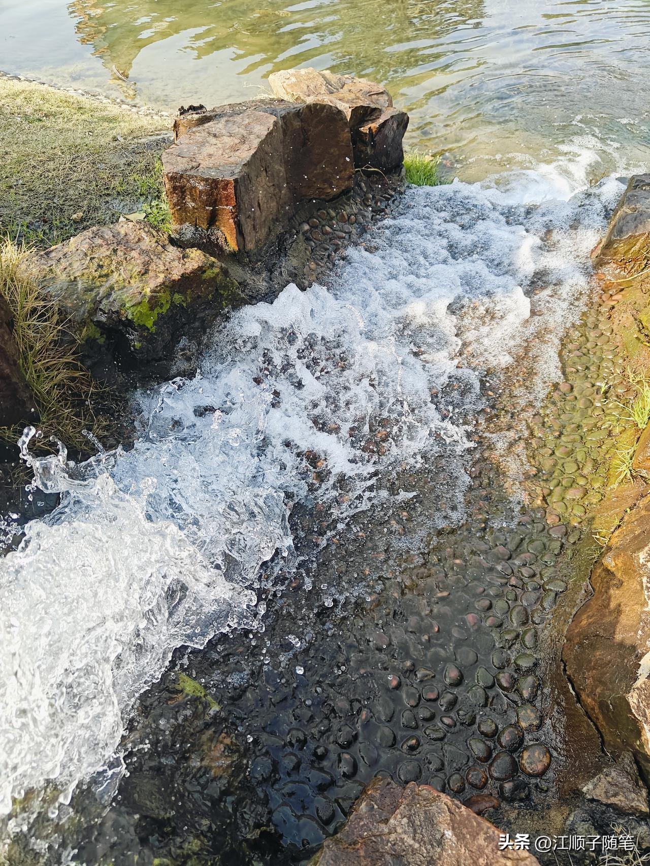 刚才和一位年薪百万后辞职的朋友聊天，他的一句话让我愣了半天：

“2026年，真