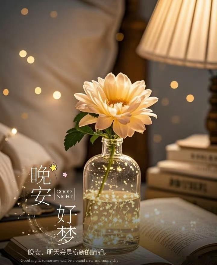 周三晚安，放下盘面的起伏波动，不必纠结一日得失，养精蓄锐，明天从容应对市场。 