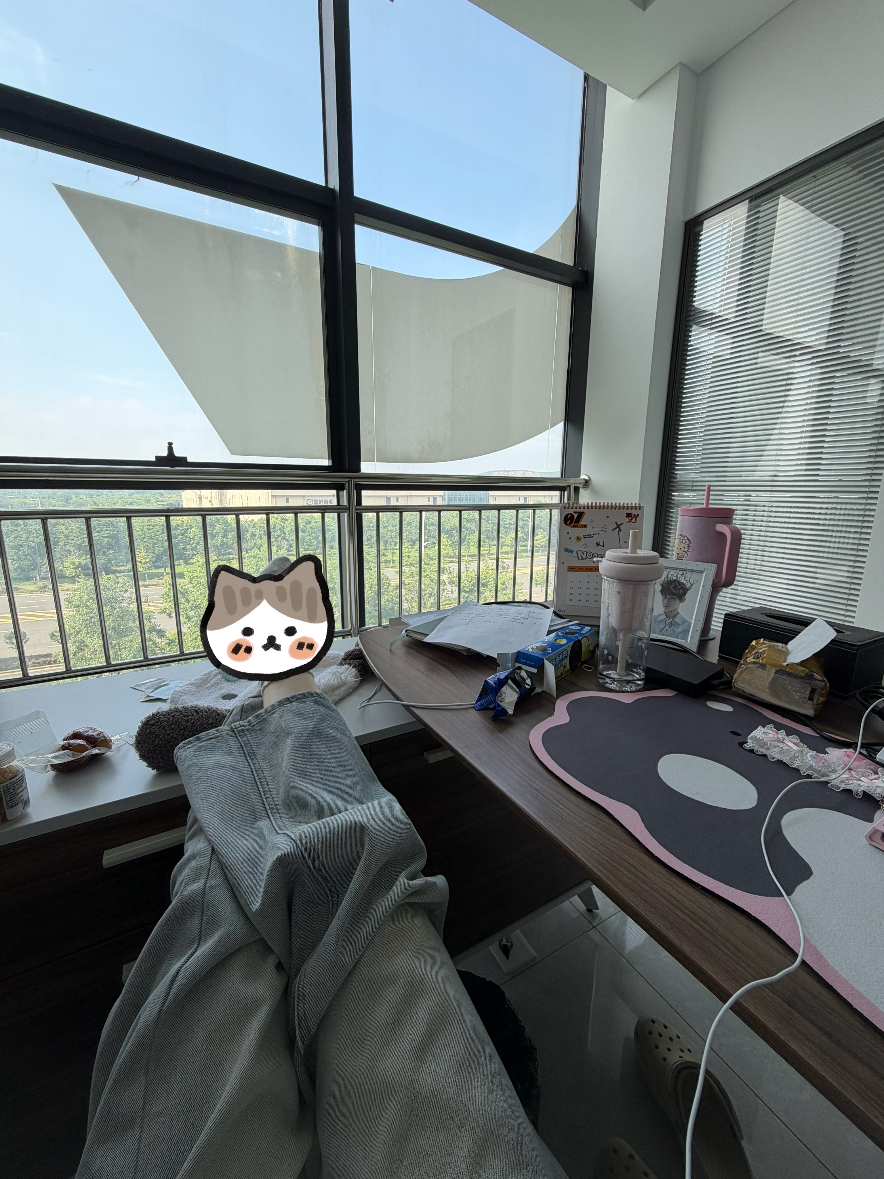拿着一月6k的工资看着1w一场的演唱会还要养只一天能吃十八顿的狗人生啊…哈哈哈哈