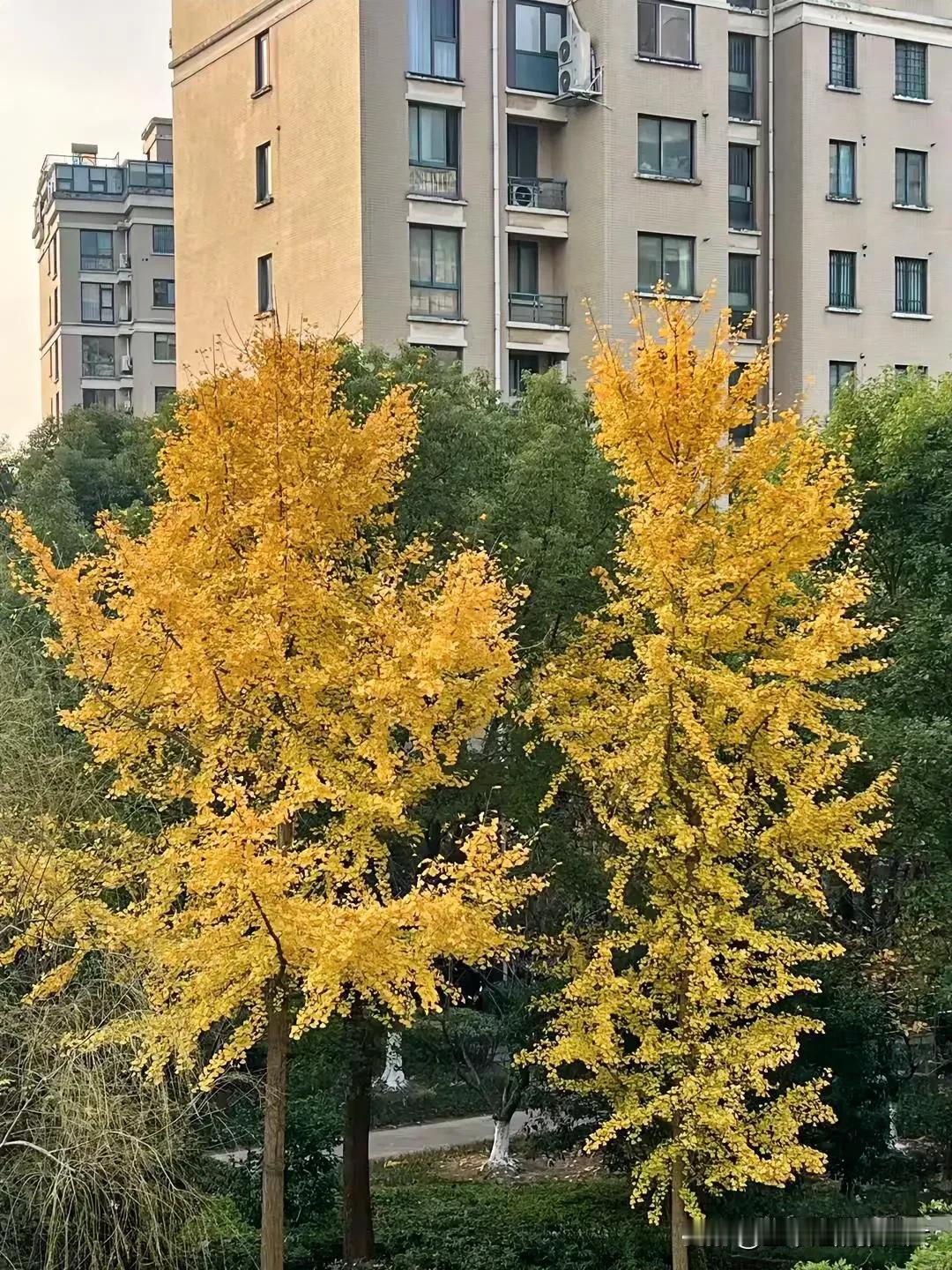 您好🌸您12月的好运已加载完成
请签收！
━━━━━━━━━━━
▉▉▉