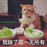 晗聚聚社会