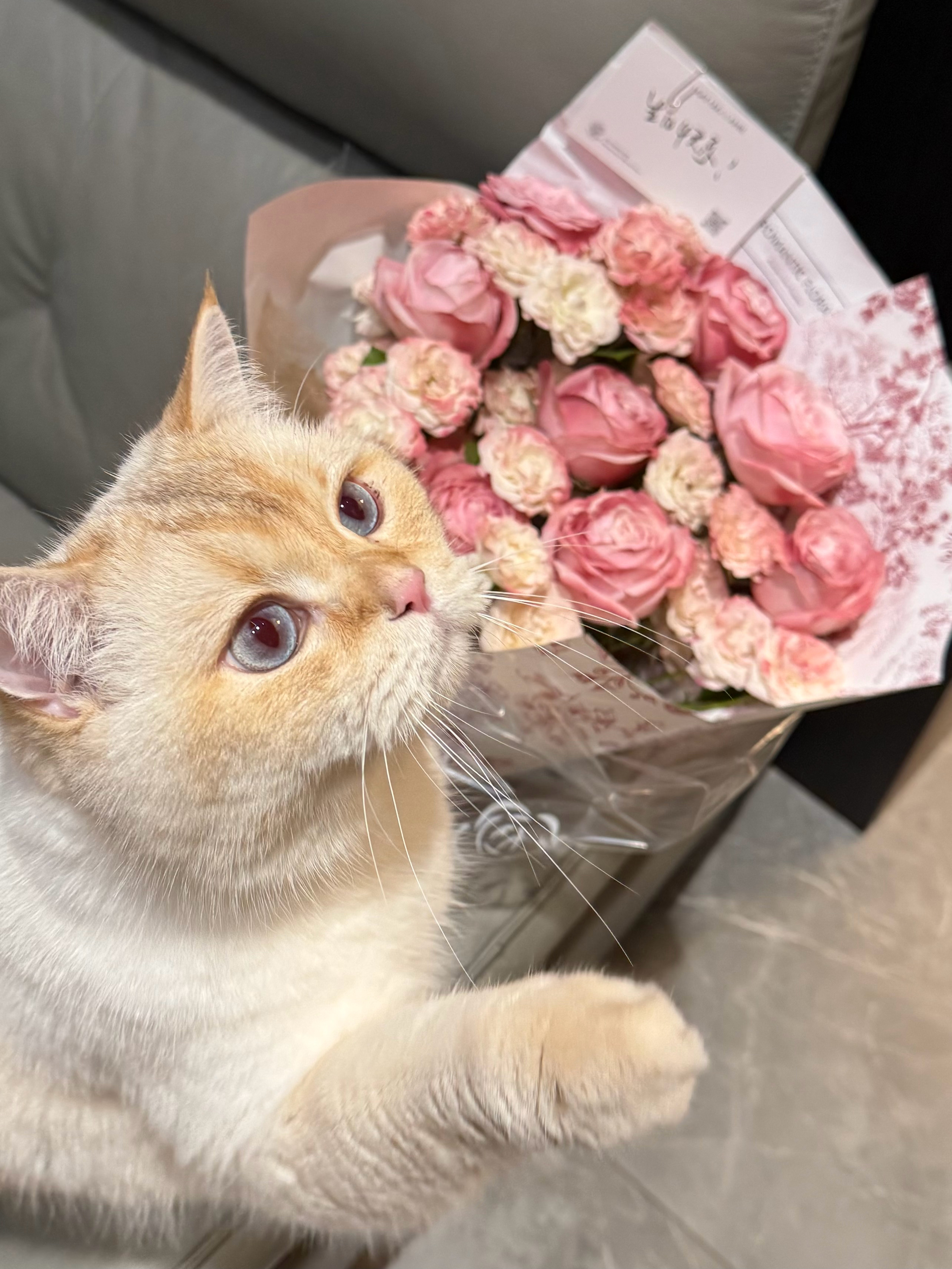 原来小猪也很喜欢花花💐～ 