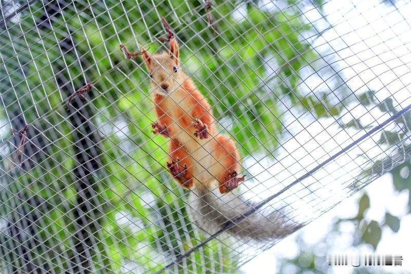 长鹿旅游休博园是一座梦幻般的综合性主题乐园，融合了野生动物王国、欢乐水世界和田园
