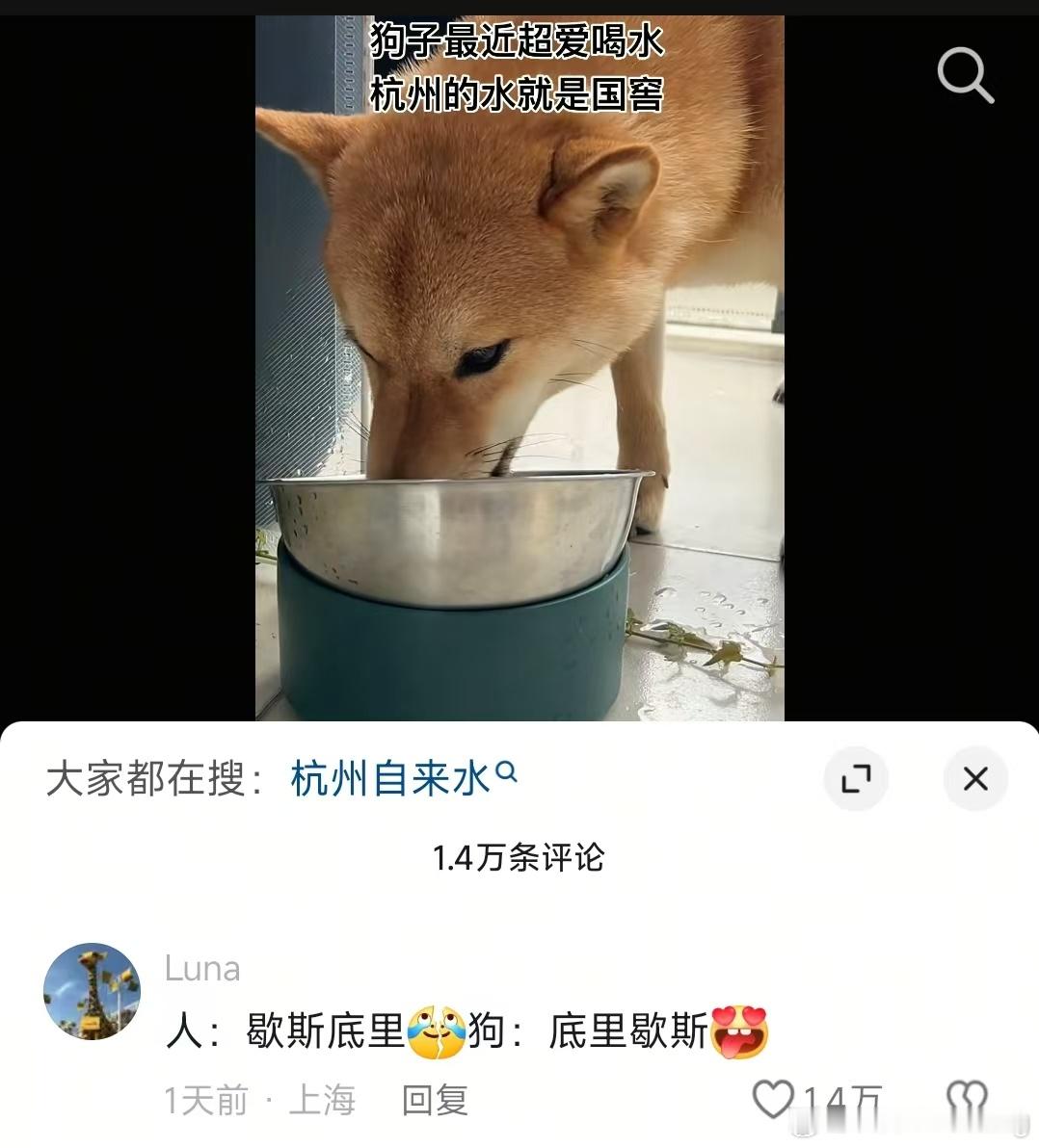 求求你们别欺负我们杭州人民了[二哈]还好我离余杭区很远你们还好吗 ​​​