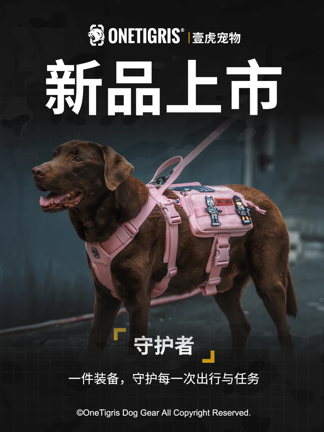 新品上市｜守护者· 从任务到日常，一套就够