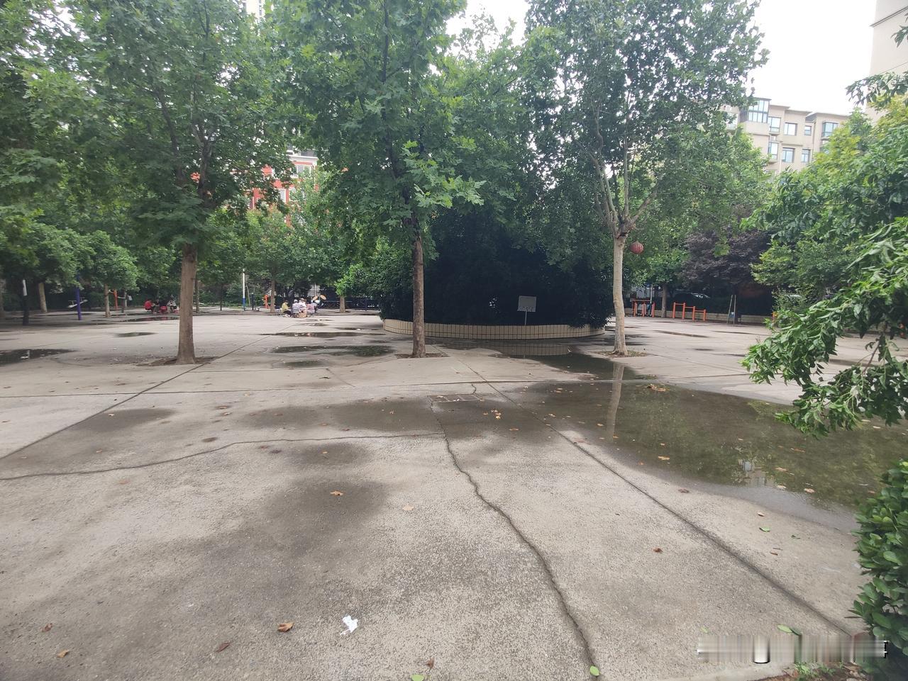 郑州小区随手拍:躲猫猫的提示牌儿！郑州生活图鉴 闲聊郑州