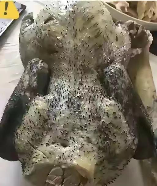 网友:
婆婆老大人从乡下送来的土鸭子，恶心到我了！这下得了嘴？头皮都发麻了！！！
