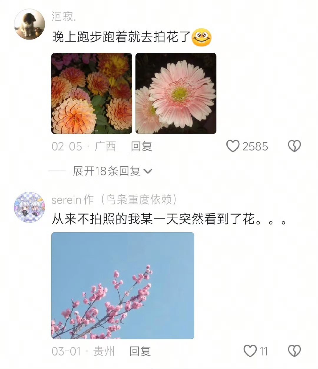 人到了一定年纪就会喜欢上的东西拍花拍花拍花 大v聊车