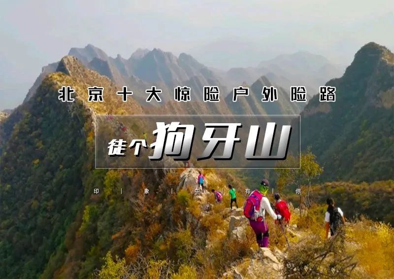 周末徒步，狗牙山，山尖上的舞蹈