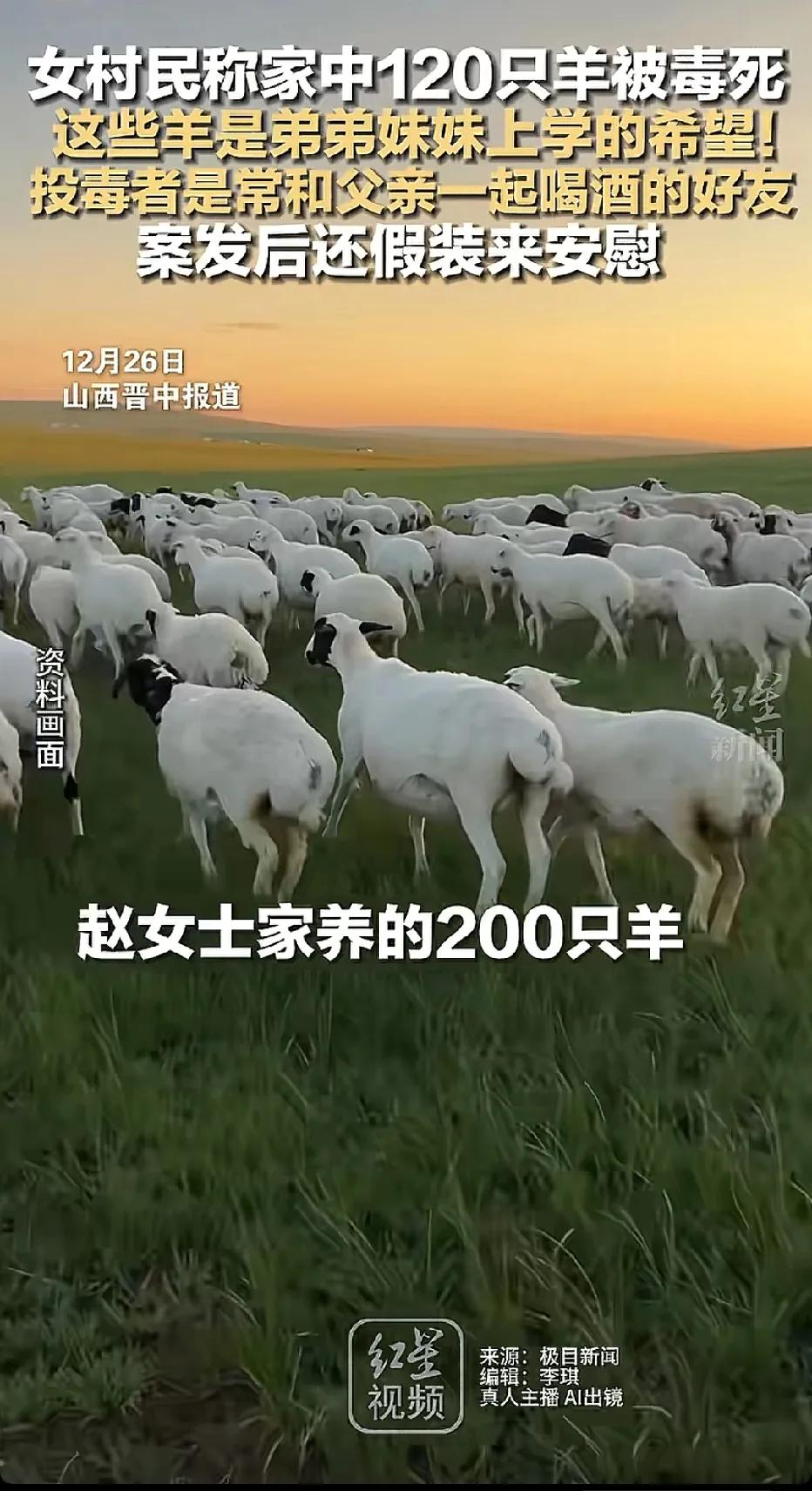 熟人！这两个字，看到这个新闻，后背发凉！一村民家中的羊🐏，有120只被人投毒毒
