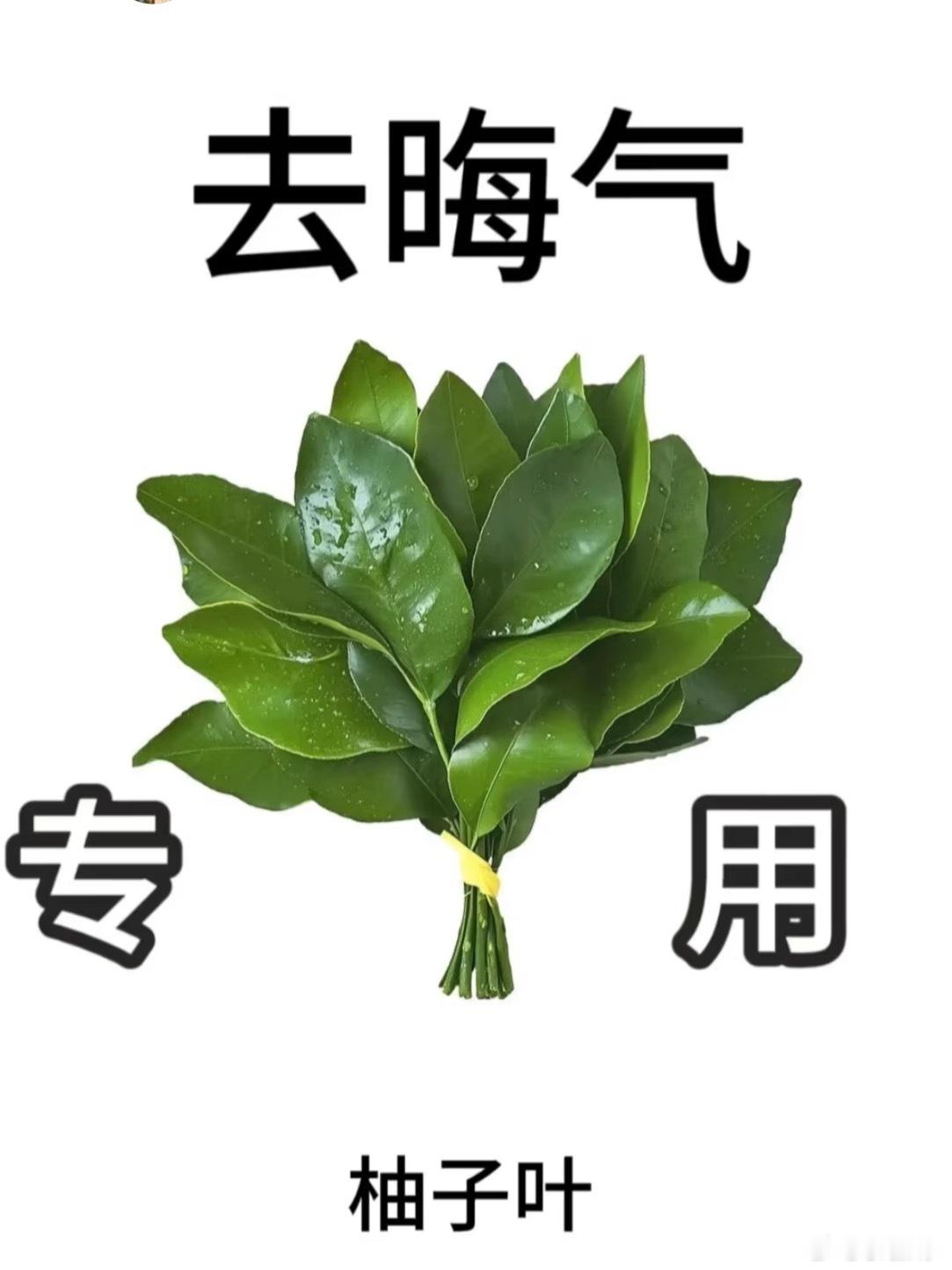 苍天呐 今天实在是太不顺了[跪了]大早上先是被物业冤枉门口的垃圾是我扔的洗完头 