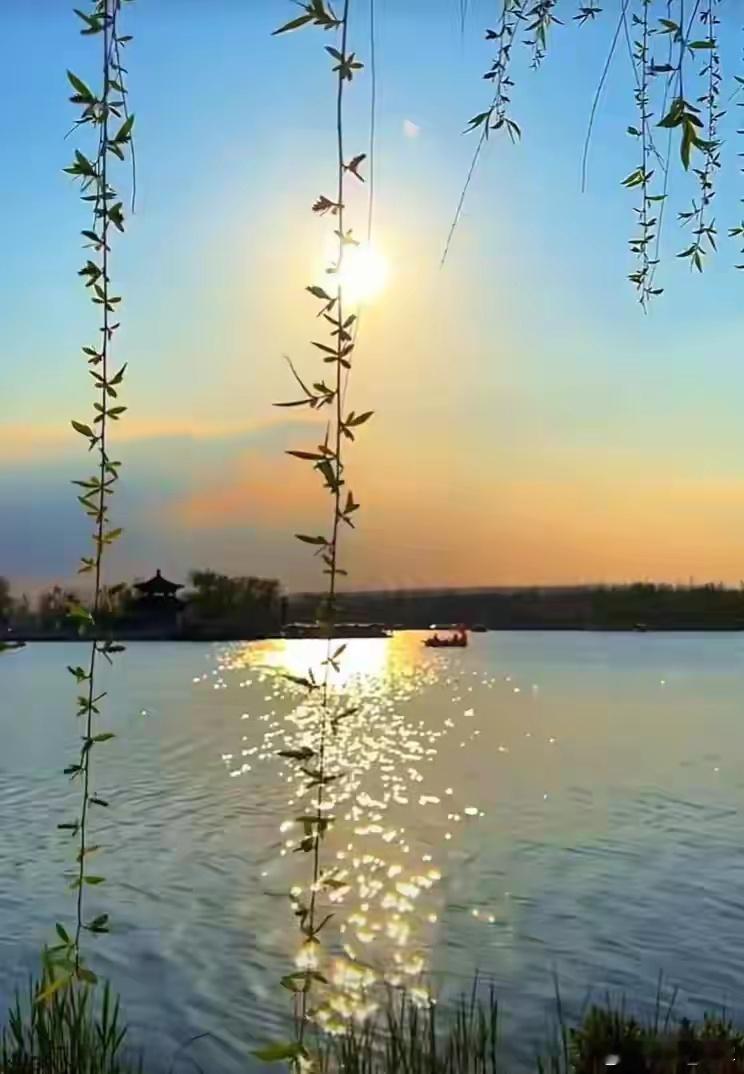 生地黄、玄参、牡丹皮：清热降火“三兄弟”，各有“拿手绝活”！生活里难免遇到口干舌