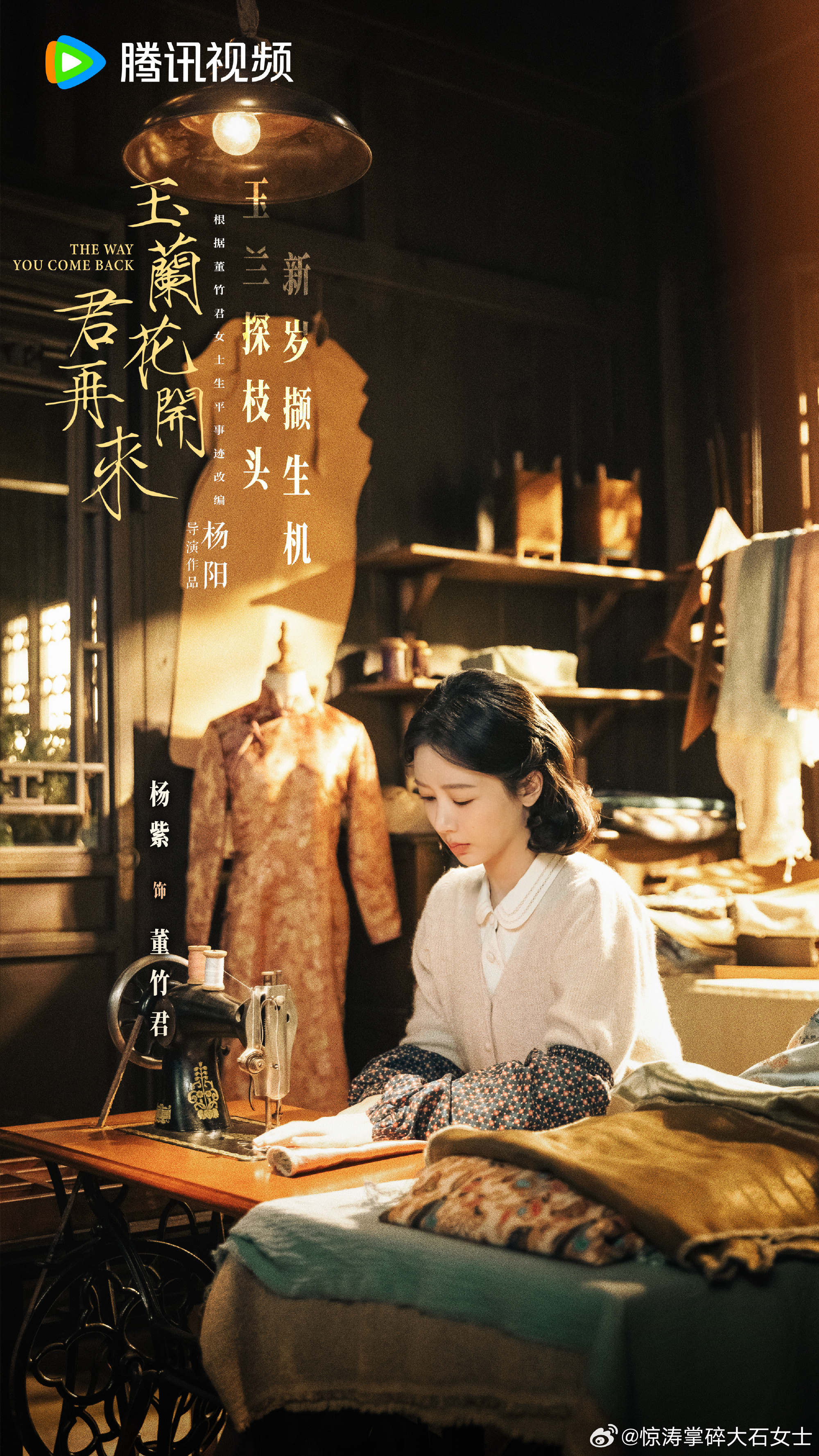 杨紫玉兰花开君再来有普通话上海话两版杨紫新剧要学上海话和四川话 杨紫新剧要开方言