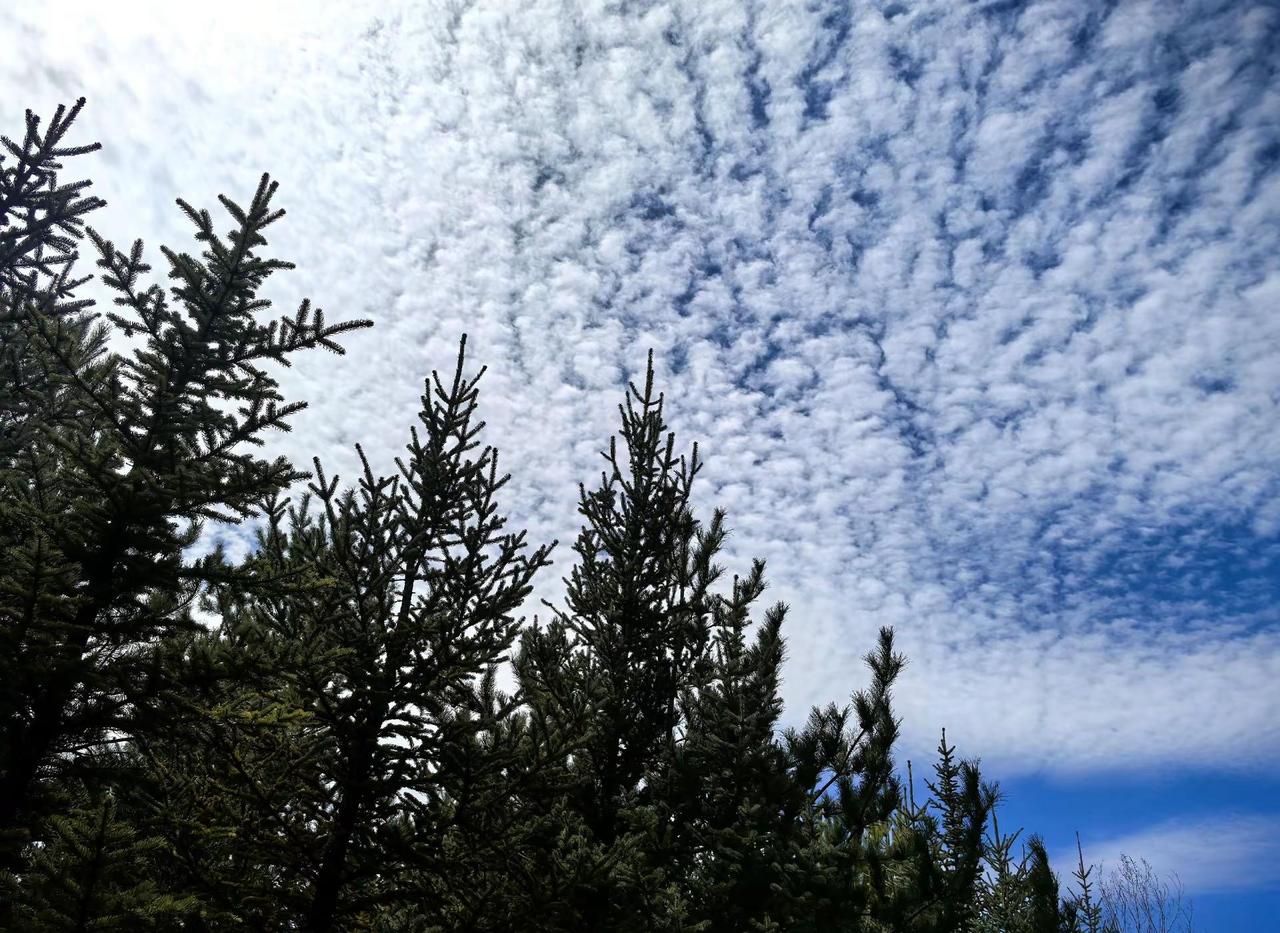 清明已过，杜绝野外用火不松懈，爱护环境，共享一片蓝天绿茵风景都在路上 蓝天白云晴