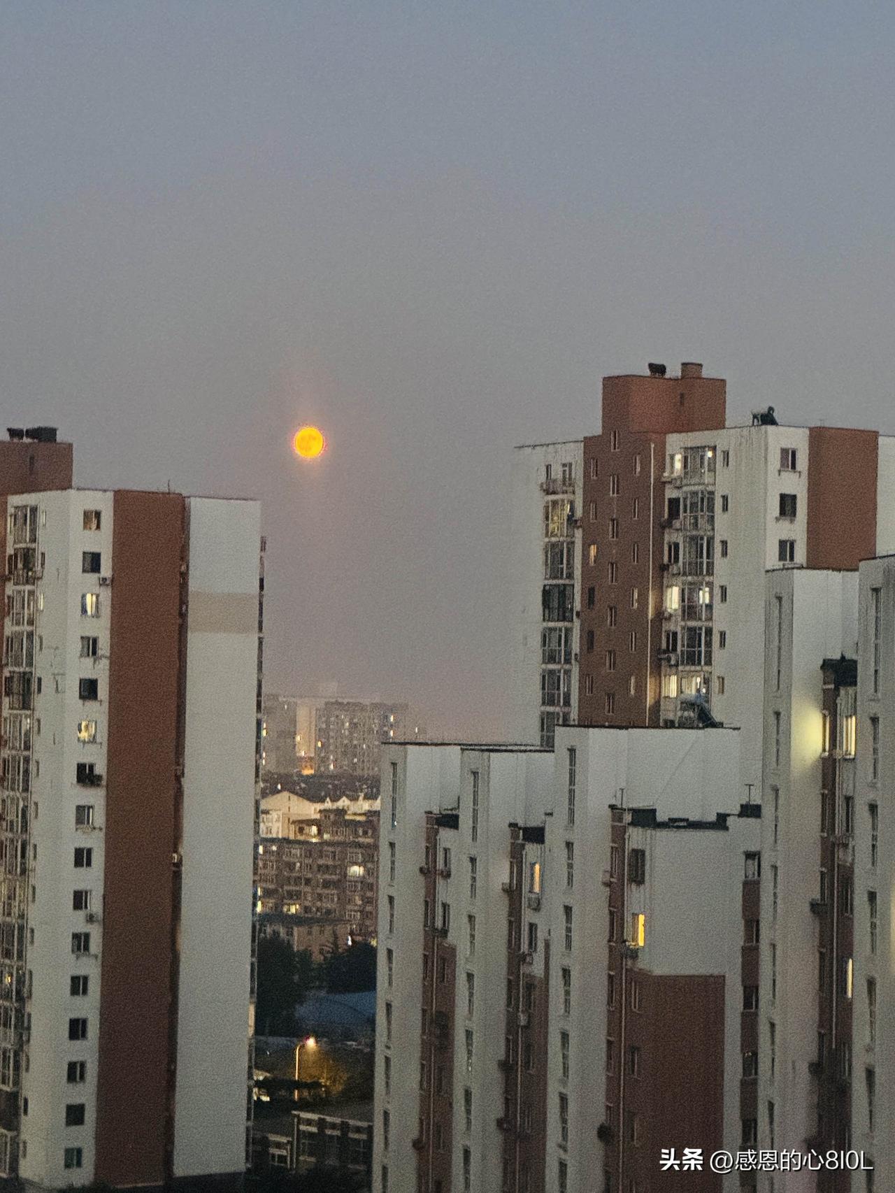 2026年7月29日，19.44时。
大连的月亮太漂亮了。
我坐在沙发上，猛一抬