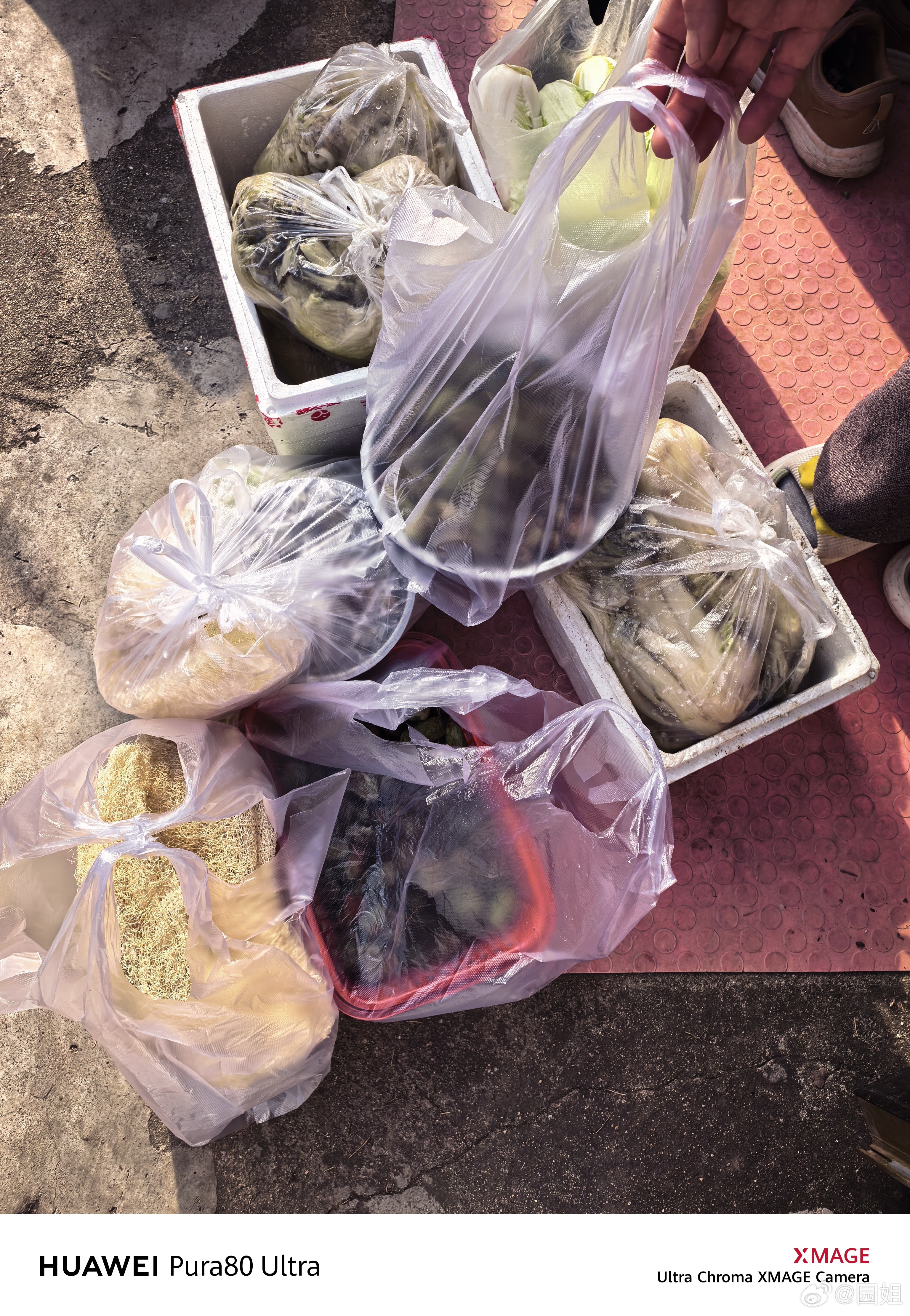 今天又回了一趟村里